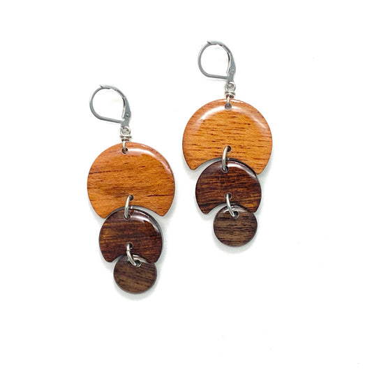 Large/Medium/Small Circles Reclaimed Wood Earrings