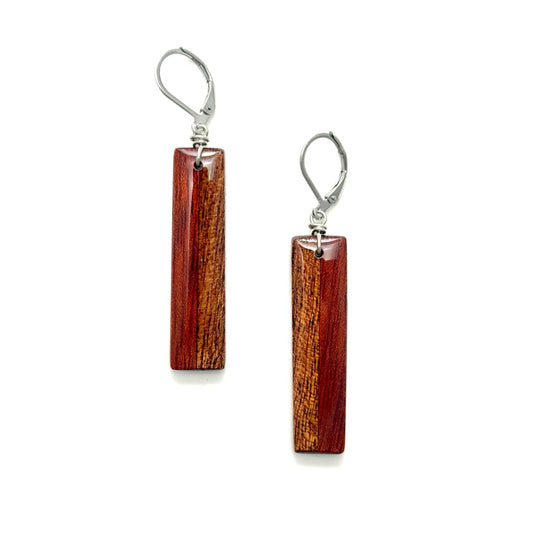 Pair of wooden earrings on a white background