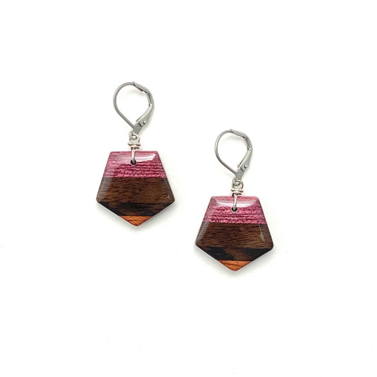 Small Pentagon Reclaimed Wood Earrings