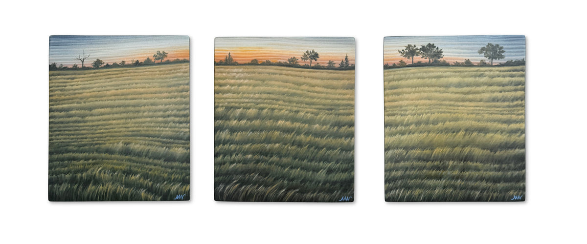 Meadow at Dusk