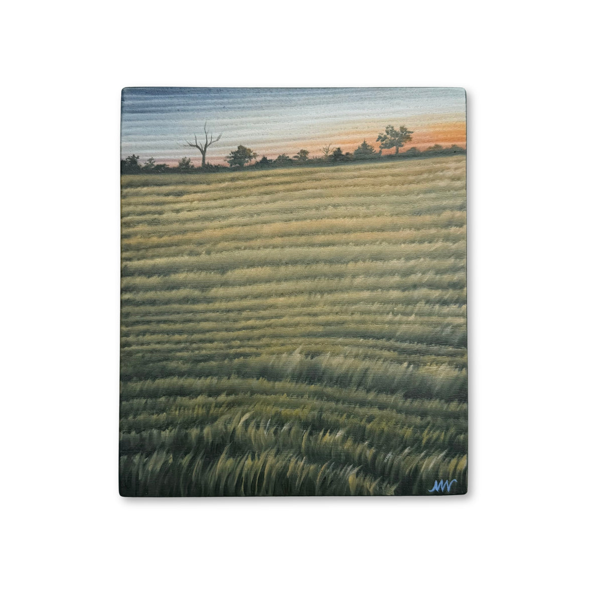 Meadow at Dusk
