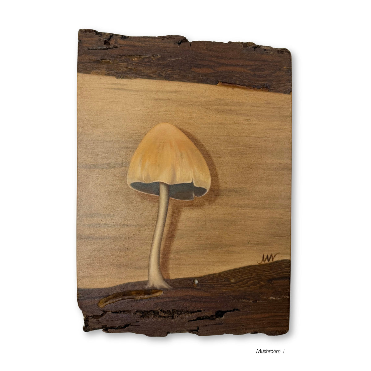 Mushrooms