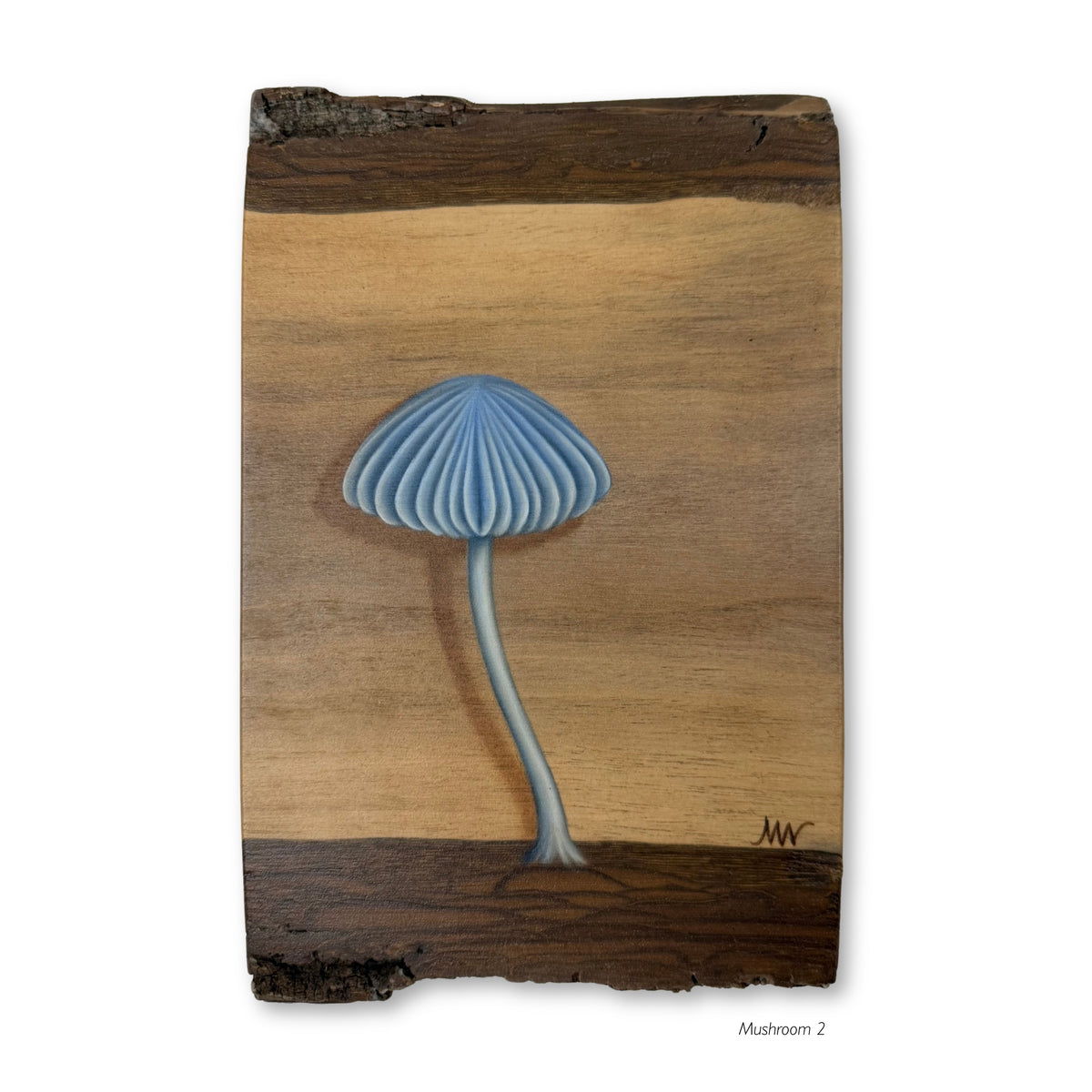Mushrooms
