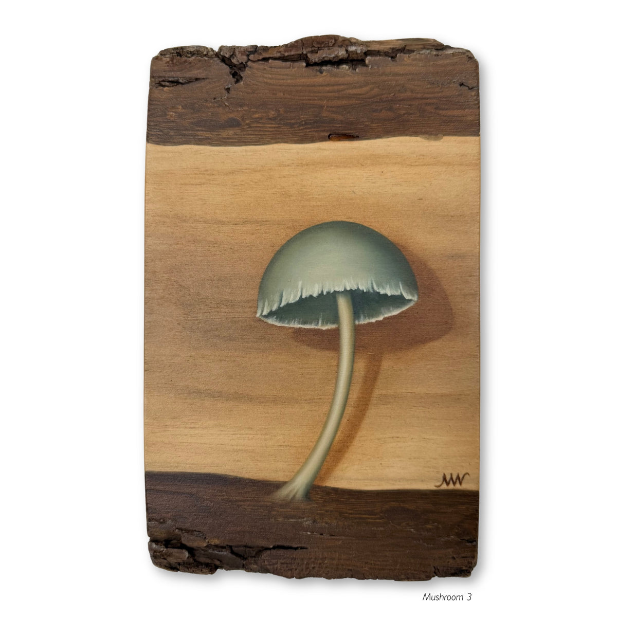 Mushrooms