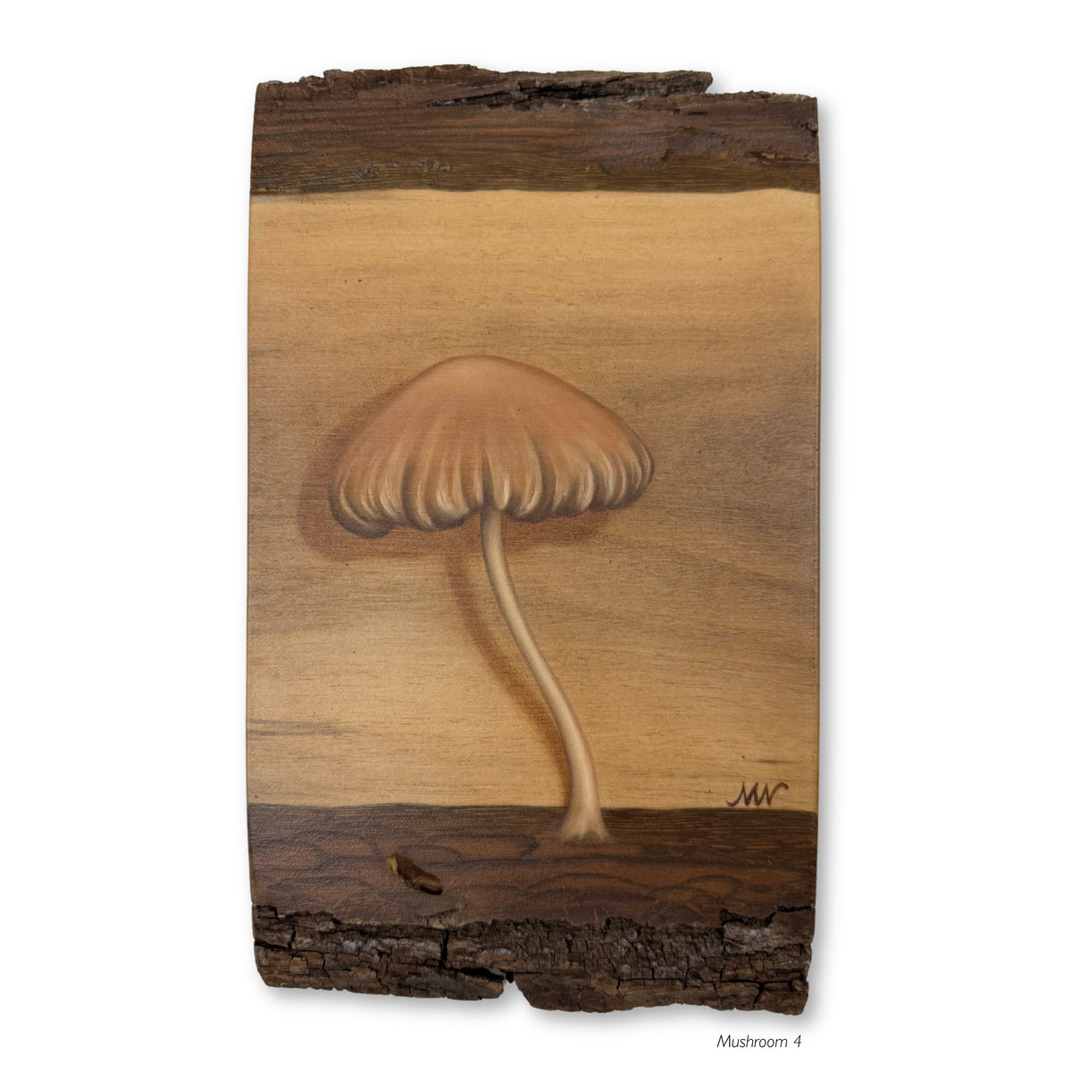 Mushrooms