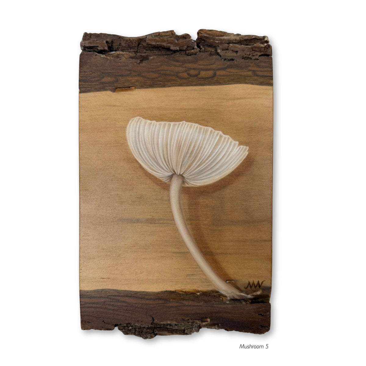 Mushrooms