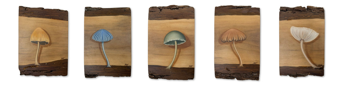 Mushrooms