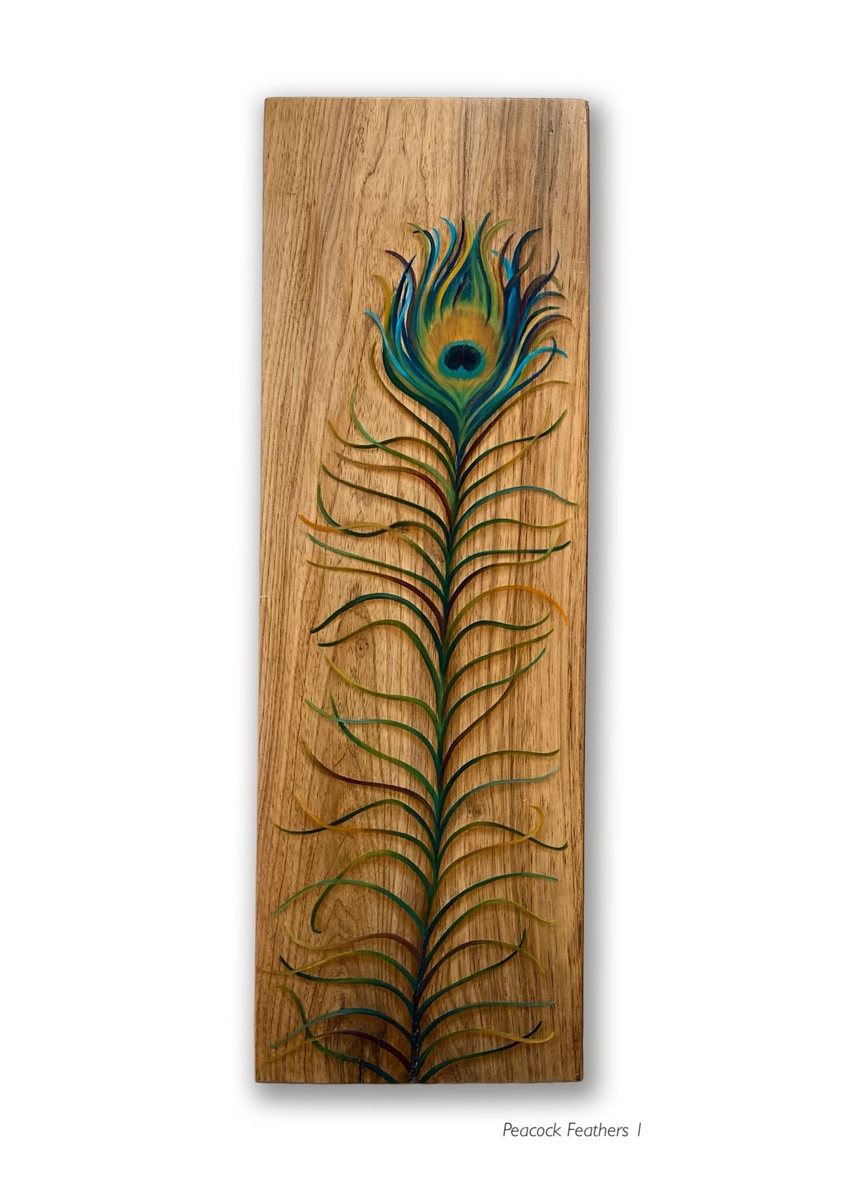Peacock Feathers