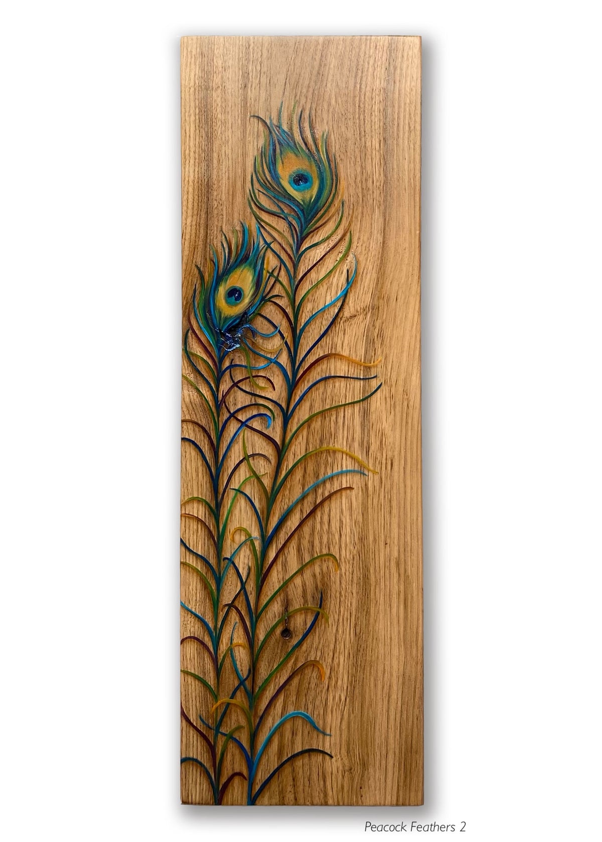 Peacock Feathers