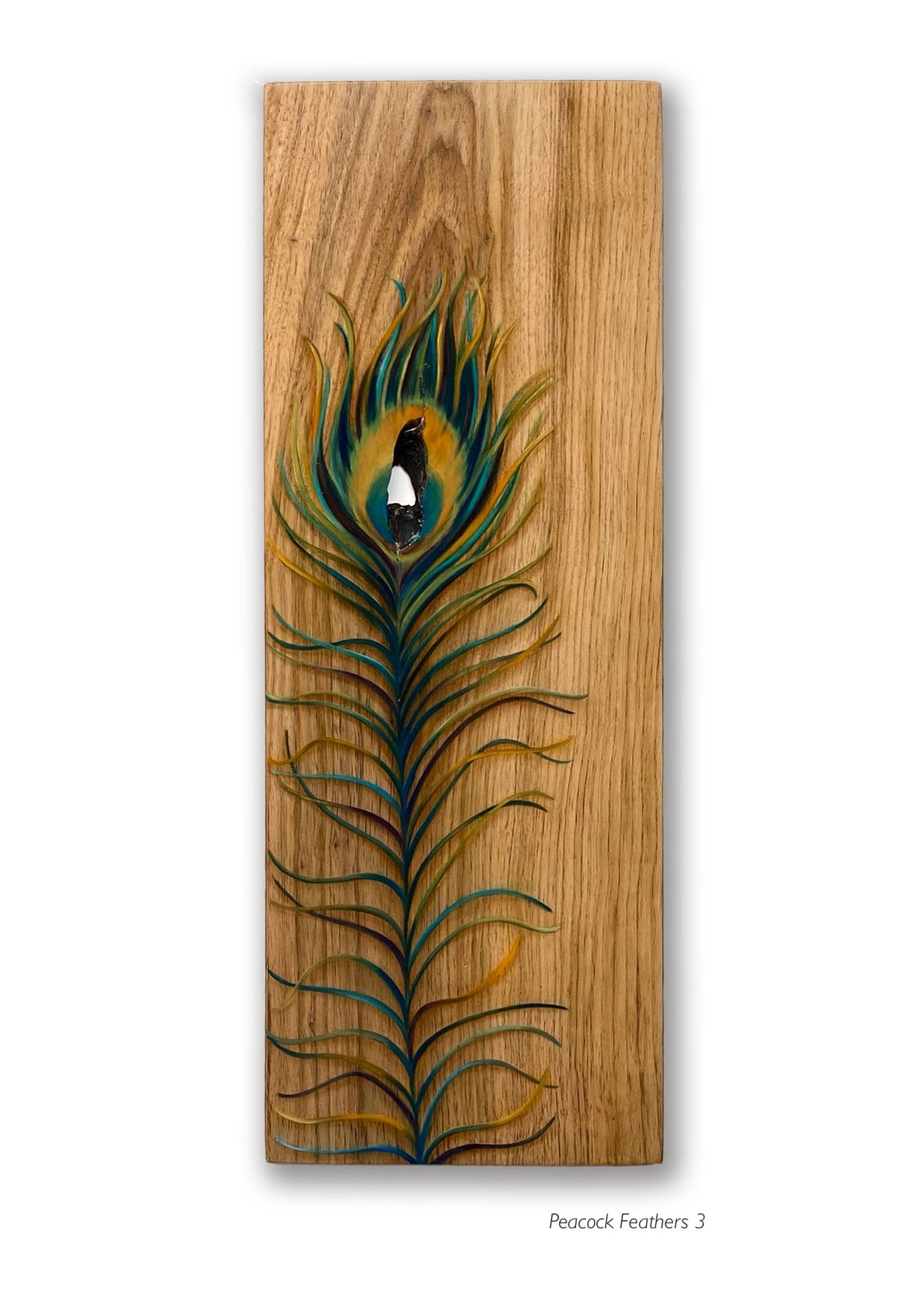 Peacock Feathers