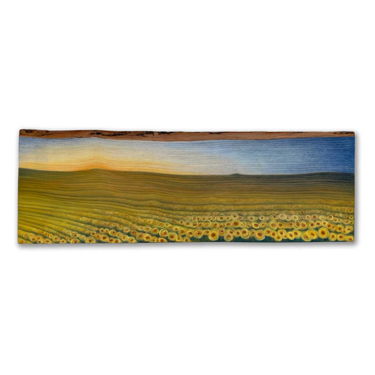 Sunflower Dreams